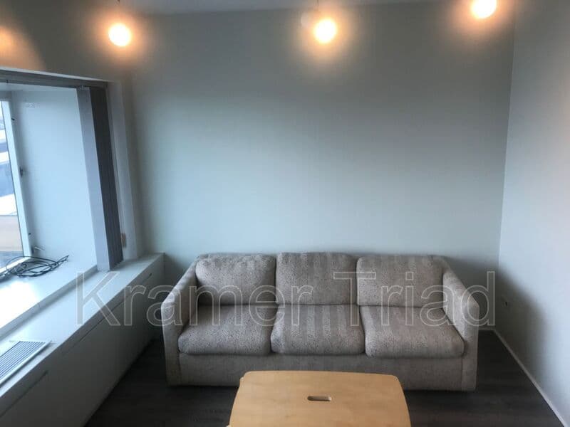 Ann Arbor Condo: 555 E William