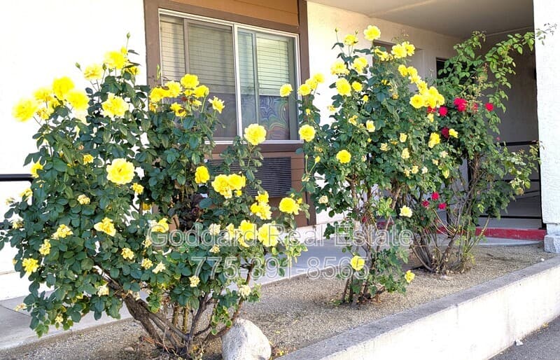 Reno Condo: 1700 Locust Street