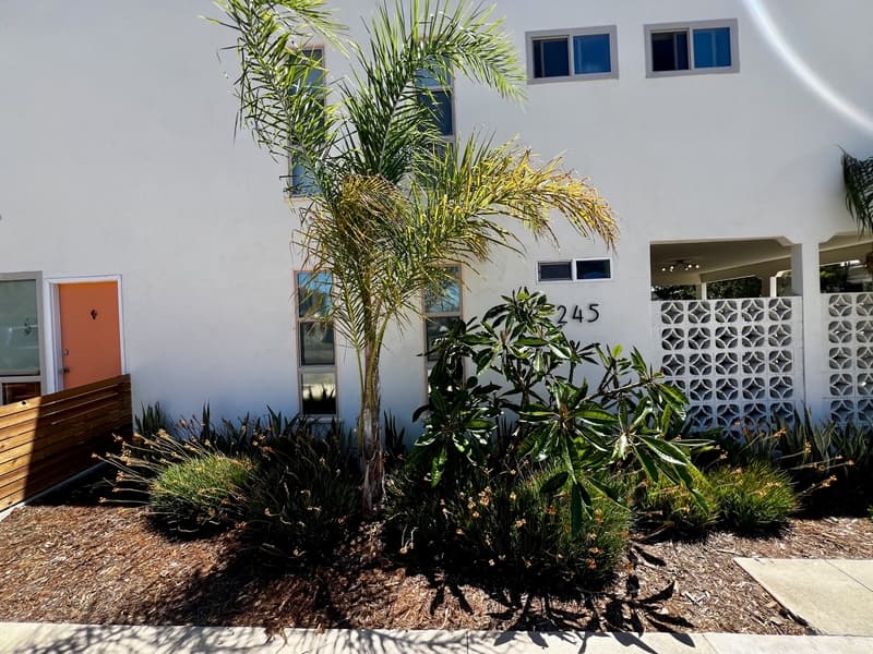 Chula Vista Condo: 245 Church Avenue