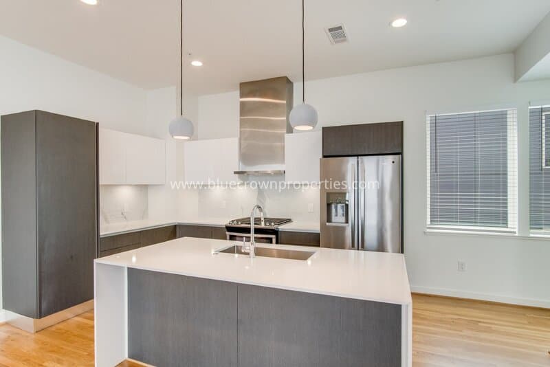 Dallas Townhome: 1515 S Akard St
