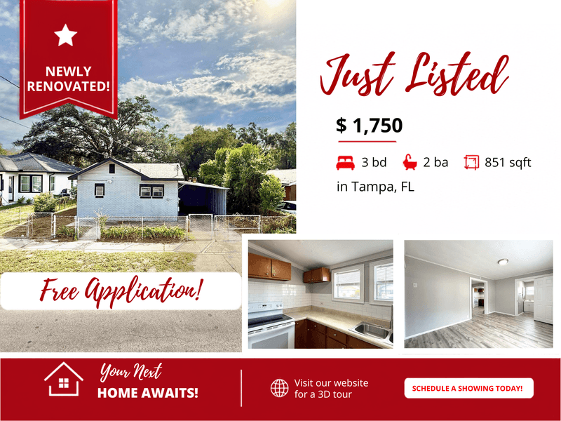 Tampa House: 8213 North Elmer Street