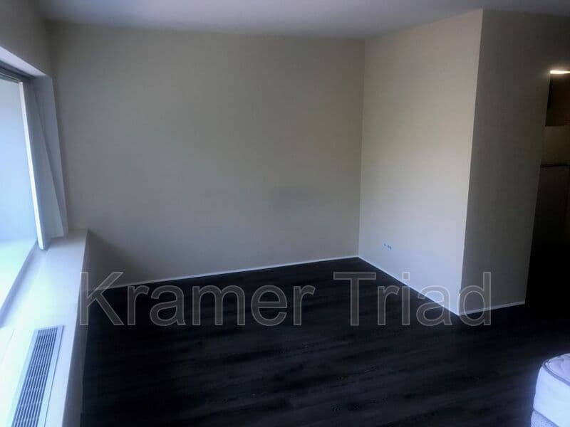 Ann Arbor Condo: 555 E William