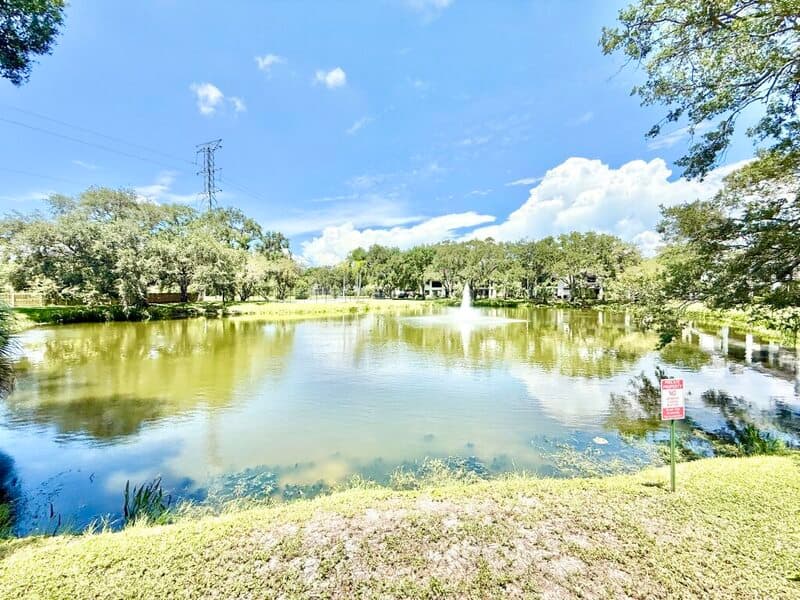 Safety Harbor Townhome: 1723 Cypress Trace Drive