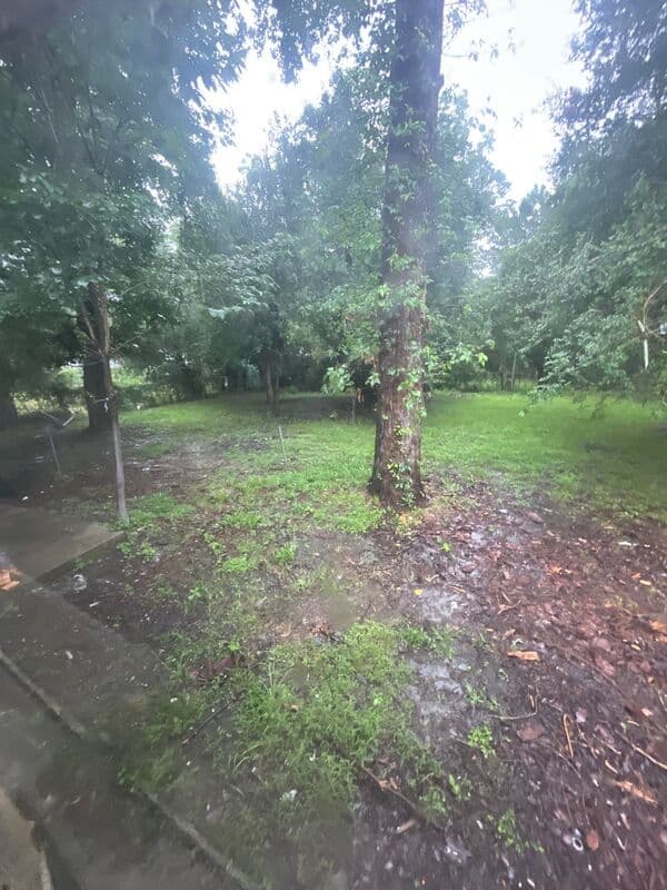 Jackson House: 925 Oleander Avenue- NEW