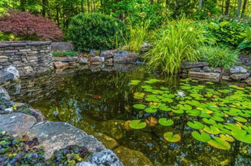 Southern Pines House: 145 Sandhurst Place