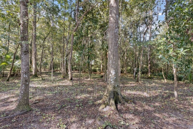 Gainesville House: 1326 Northwest 57th Street