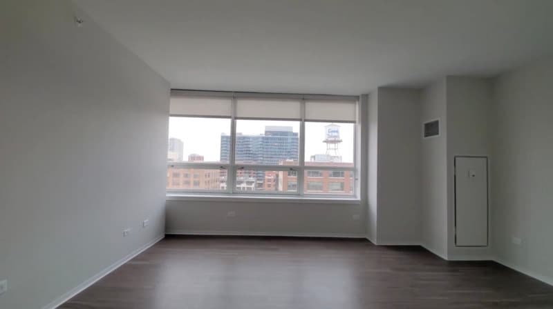 Chicago Condo: 801 W Adams St