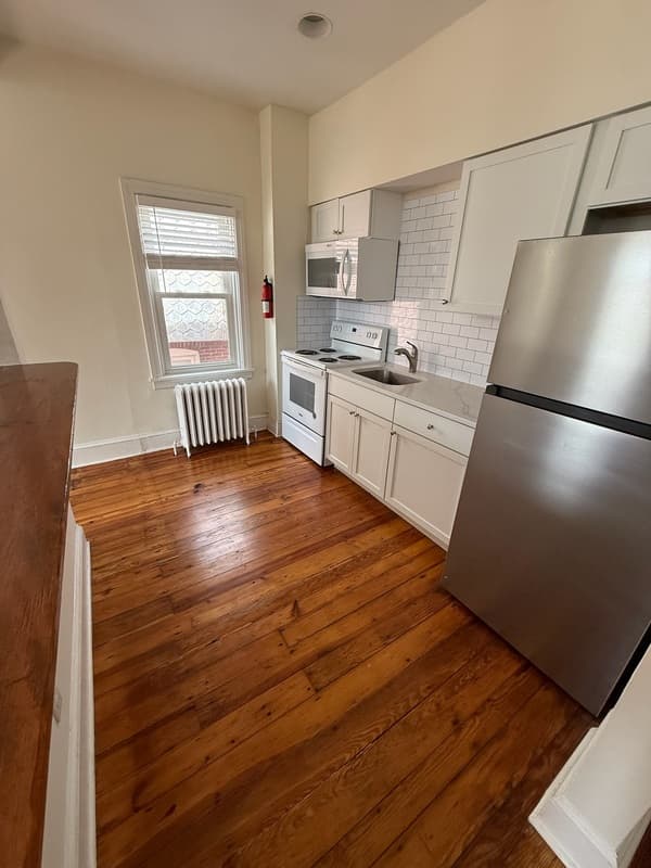 Wilmington Condo: 209 West 18th Street - 1