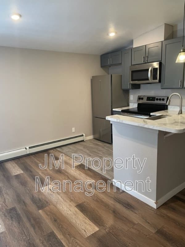 Aurora Condo: 1679 Joliet Street
