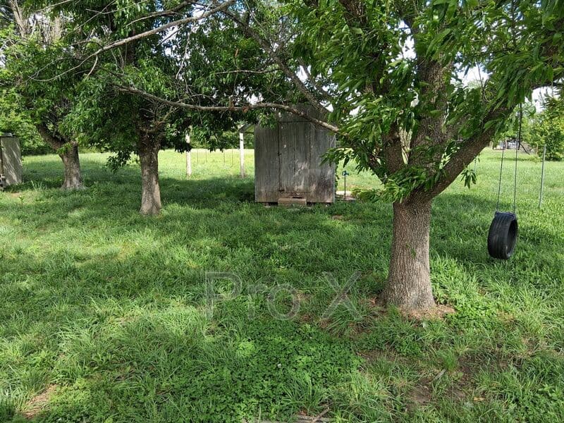 Cave Springs House: 910 Sands Rd