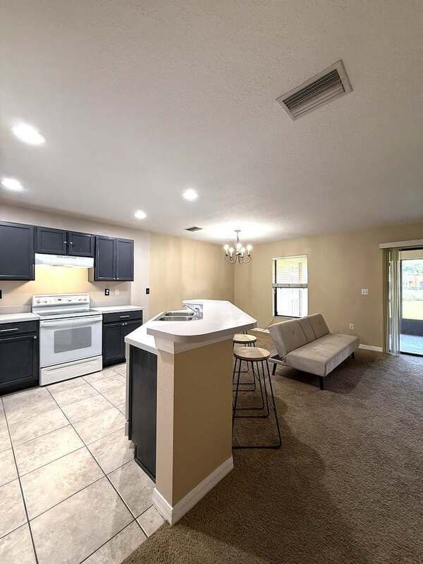 Brandon Townhome: 2516 Oleander Lakes Drive
