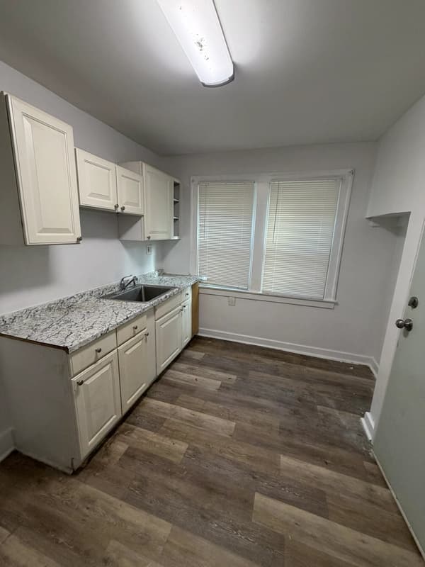 Detroit Condo: 4240 Waverly Street - 1