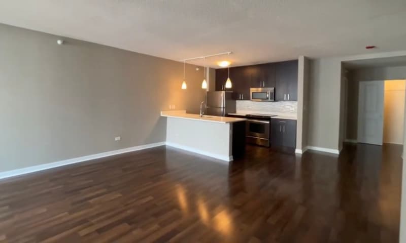 Chicago Condo: 739 N Wabash Ave