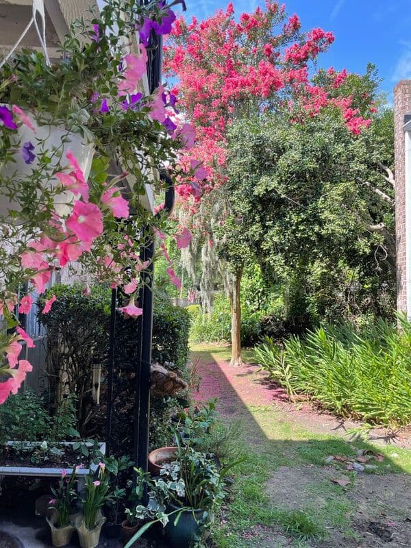Charleston House: 811 N Colony