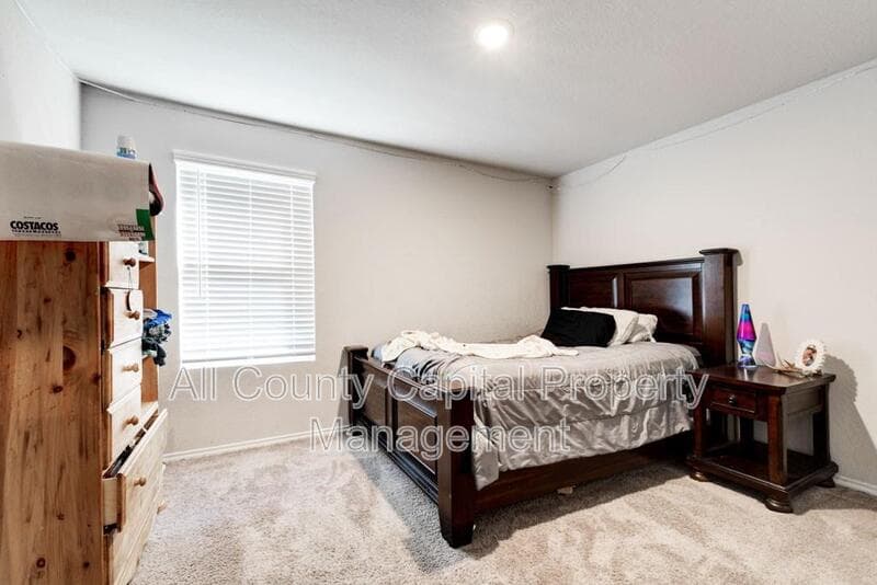 New Braunfels House: 1921 Cisticola