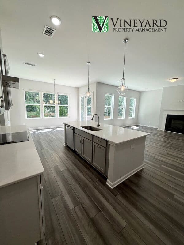 Holly Springs House: 265 Birchwood Row