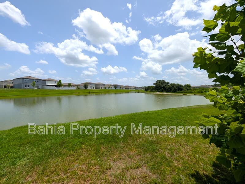 Zephyrhills House: 35491 Shade Fern Ln