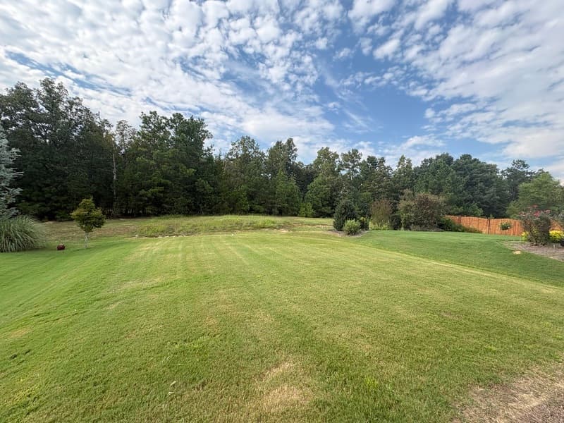Blythewood House: 676 Scarlet Baby Dr