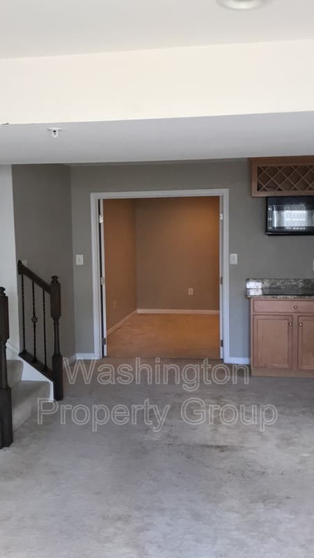 Capitol Heights House: 706 Rollins Ave Basement