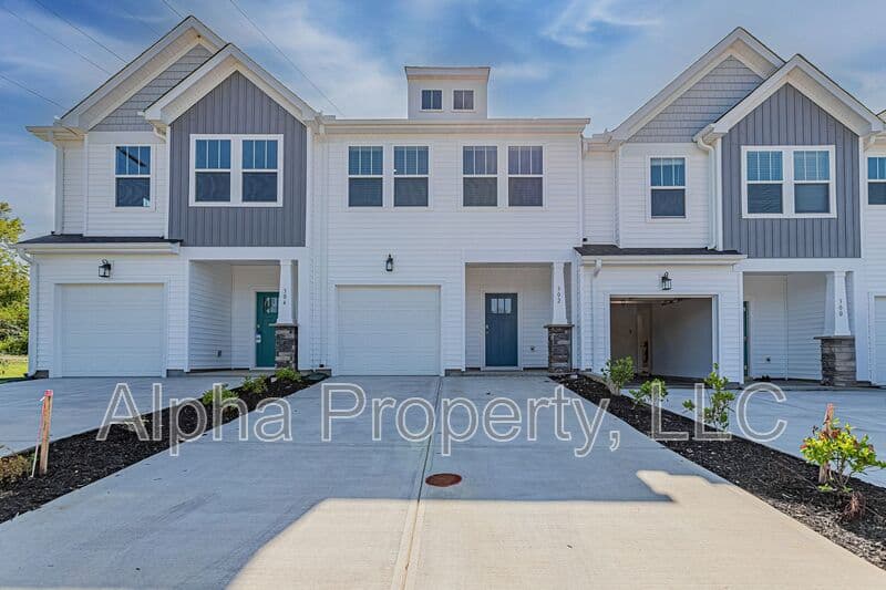 Greenville Townhome: 302 Marston Ln