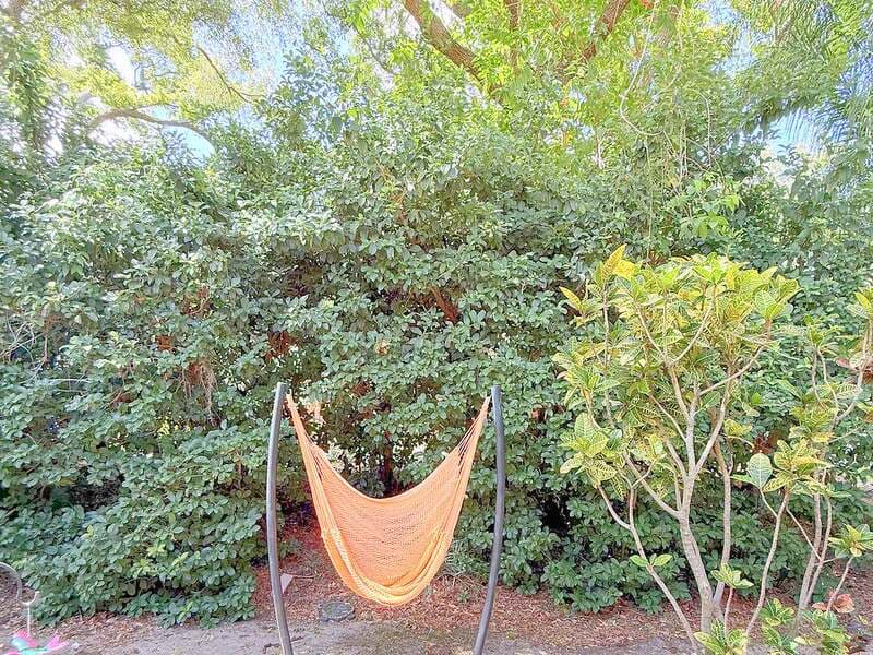Safety Harbor Townhome: 1723 Cypress Trace Drive
