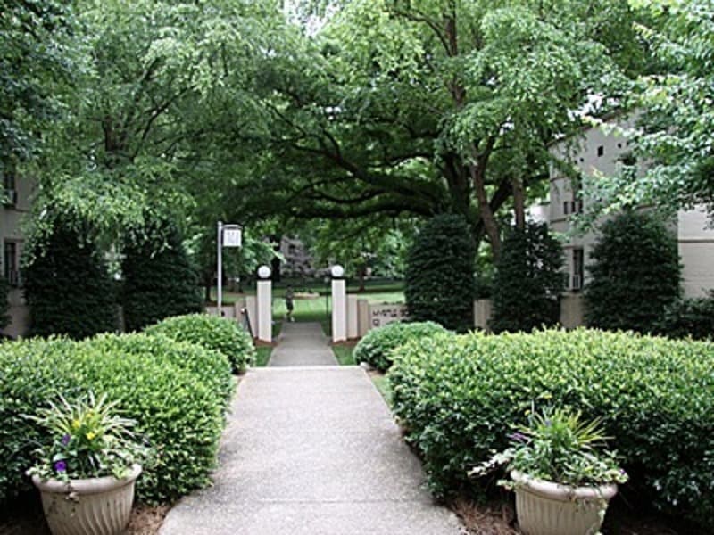 Charlotte Condo: 1121 Myrtle Avenue, Unit 20