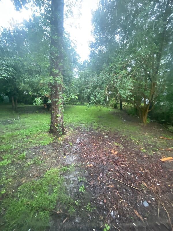 Jackson House: 925 Oleander Avenue- NEW