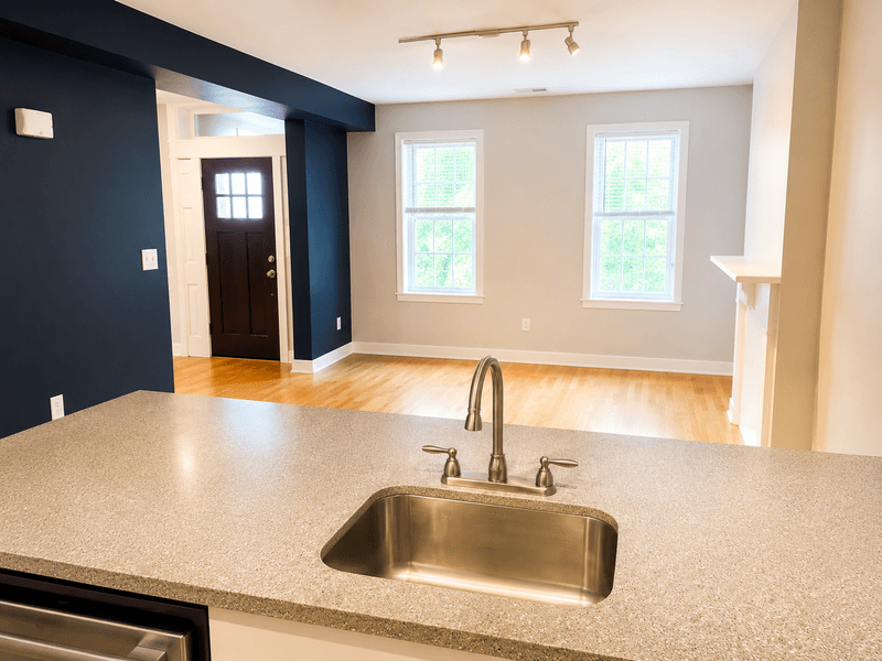 Albany Condo: 115 Morris Street - 1