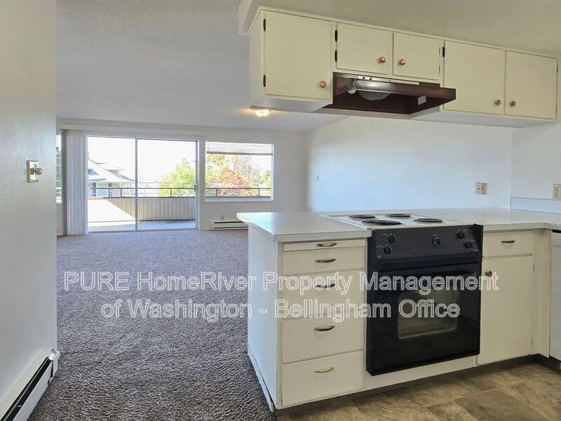 Bellingham Condo: 625 N. Garden