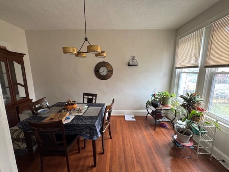 Baltimore House: 2843 West Garrison Avenue - 3