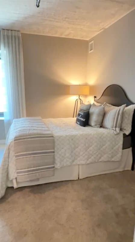 Chicago Condo: 741 S Clark St.