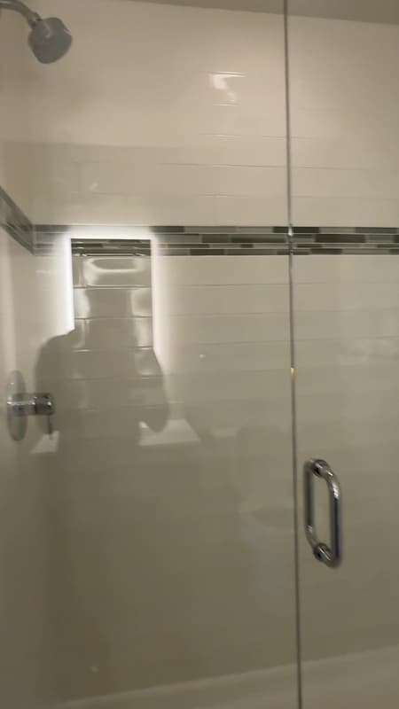 Chicago Condo: 351 W Chicago
