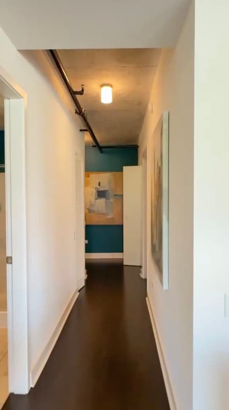 Chicago Condo: 741 S Clark St.