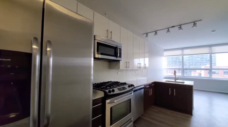 Chicago Condo: 801 W Adams St