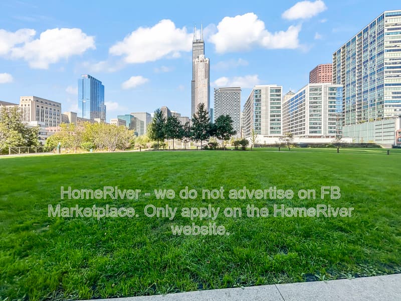Chicago Condo: 234 W Polk St