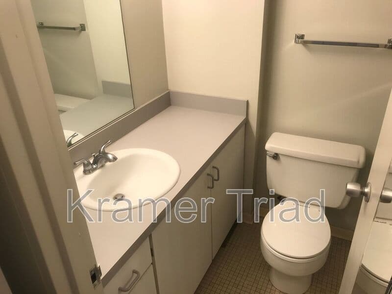 Ann Arbor Condo: 555 E William