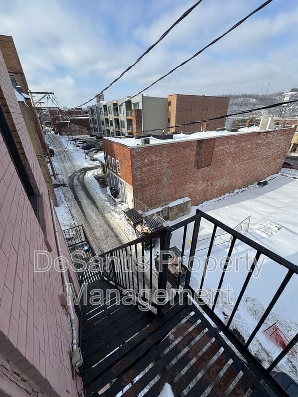 Homestead Condo: 810 Amity Street