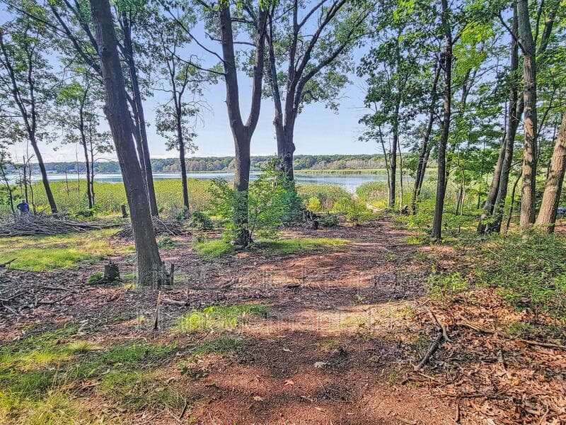 Muskegon Condo: 1852 Cedar Avenue - 1