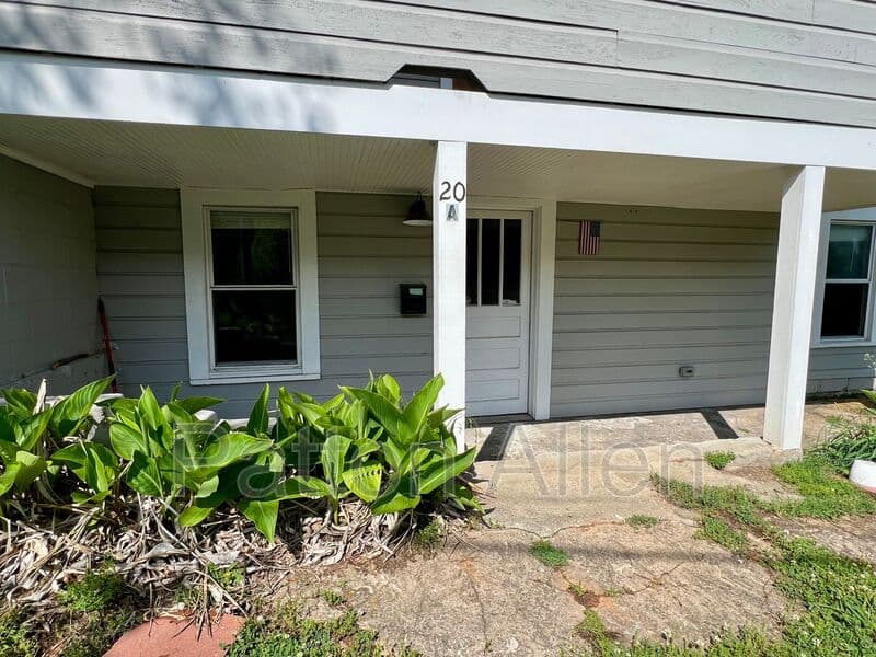 Asheville Condo: 20 Rector St