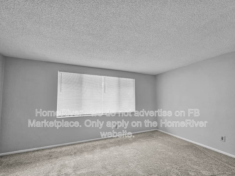 Tampa Condo: 7509 Pitch Pine Cir