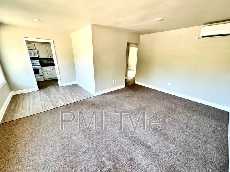 Tyler Condo: 1800 West Oakwood Street