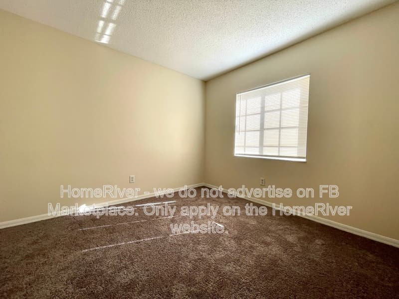 Tampa Condo: 7344 E Bank Dr