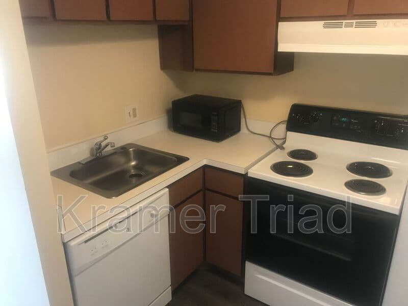 Ann Arbor Condo: 555 E William