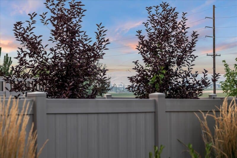 Star House: 2218 North Leatherwood Avenue