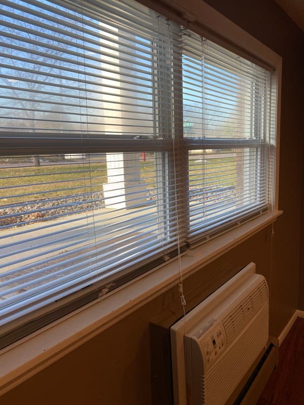 Monticello Condo: 705 E 3rd St #1