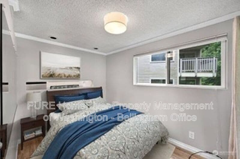 Bellingham House: 2 Marigold Dr
