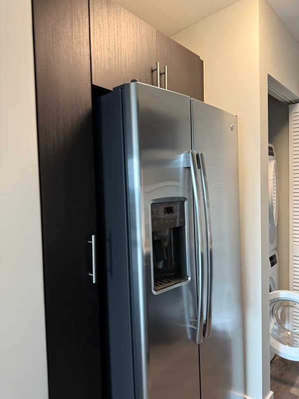 Chicago Condo: 870 N  State St.