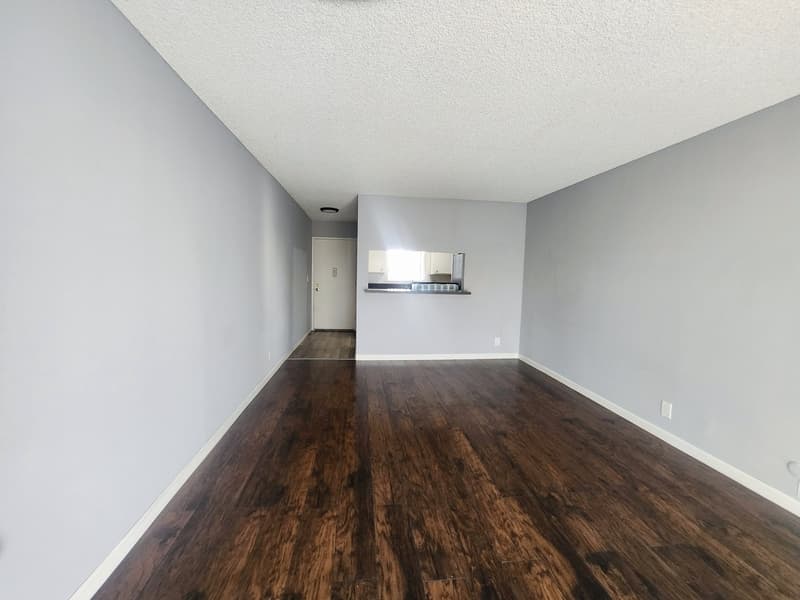 Los Angeles Condo: 123 South Catalina Street - 216