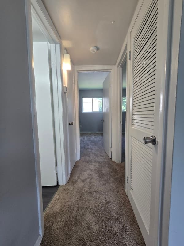 Richmond Condo: 1227 Nelson St