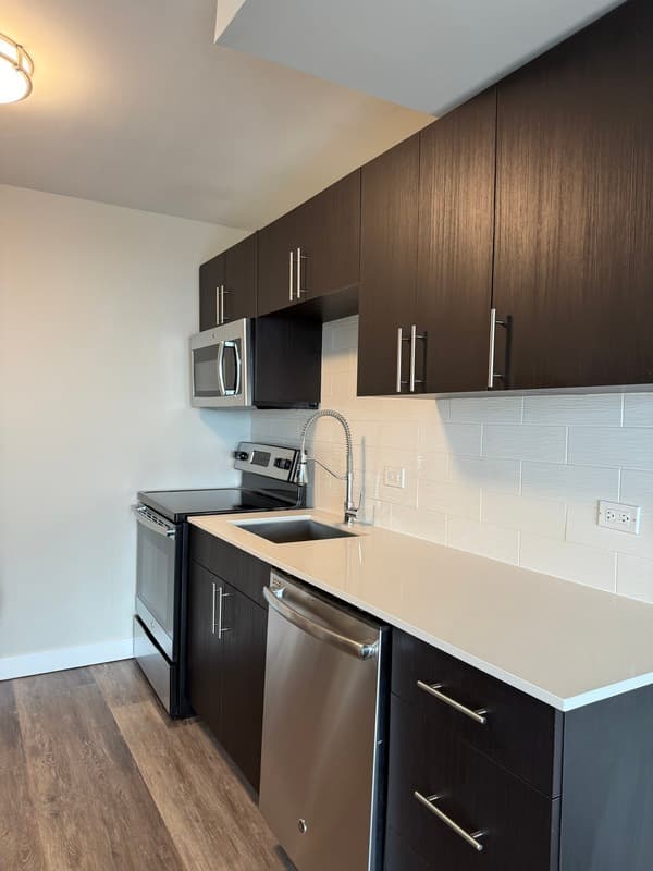 Chicago Condo: 870 N  State St.